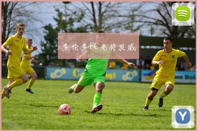 多伦多FC老将发威