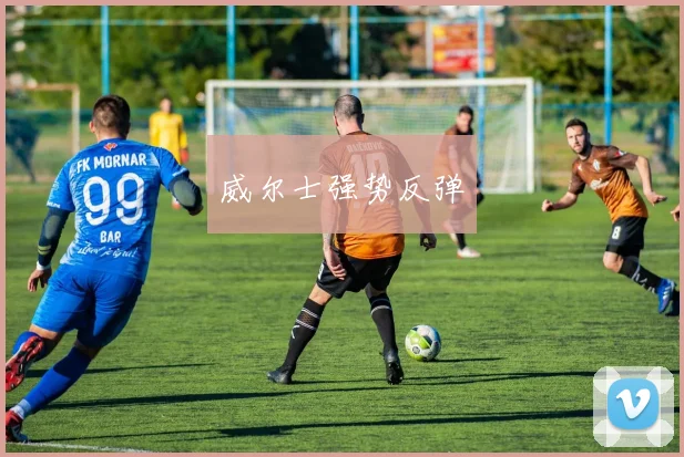 威尔士强势反弹