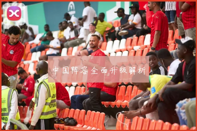 中国阵容全面升级解析