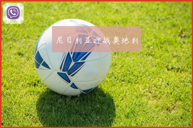 尼日利亚迎战奥地利