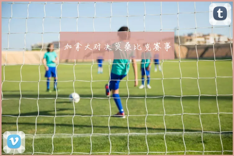 加拿大对决莫桑比克赛事